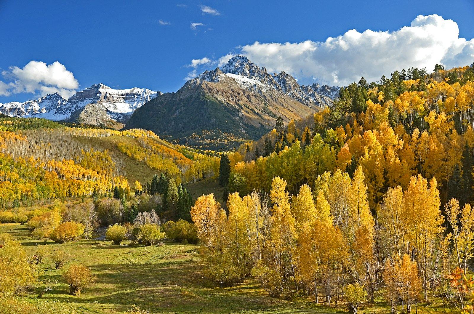 Golden aspens beneath snow-capped peaks