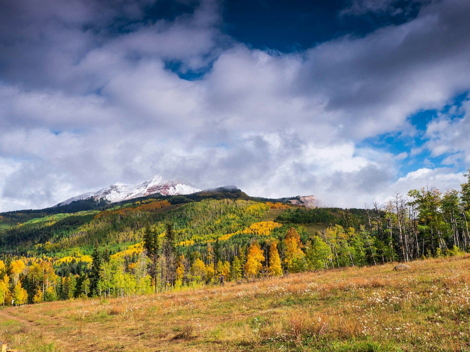 Open meadow and Colorado sky